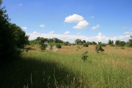 Svetvinčenat, poljoprivredna parcela na lijepoj lokaciji, Svetvinčenat, Земля