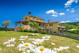 Predivna vila s bazenom na proplanku, Pazin, Maison