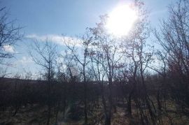 Zemljište nadomak Industrijske Zone Kukuljanovo, Bakar, Land