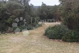 Poljoprivredno zemljište 20 000 m2  na otoku Cresu, Mali Lošinj, Земля