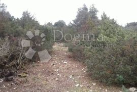 Poljoprivredno zemljište 20 000 m2  na otoku Cresu, Mali Lošinj, Land