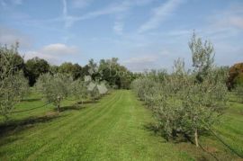 Istra, Labin - kuća - starina  ( Stancija ), Labin, Дом