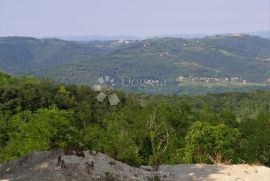 Kamena kuća na proplanku, Vižinada, House