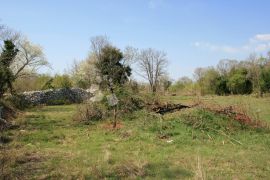 ISTRA, Bale – lijepa lokacija 6 km od mora i 1.5 km od Bala, Bale, Terreno