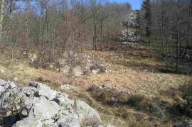 Poljoprivredno zemljište 15612 m², Klana, Tierra