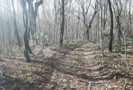 Poljoprivredno zemljište, okolica Labina, Sveta Nedelja, Tierra