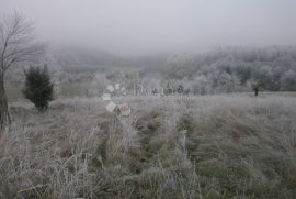 Građevinski teren sa zelenim pojasom, Vrbovsko, Terra