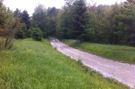 POLJOPRIVREDNO ZEMLJIŠTE U SRCU GORSKOG KOTRA, Delnice, Land