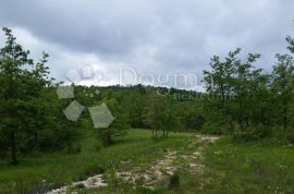 Središnja Istra, 53000 m² građevinskog zemljišta za resort sa 22 vile i popratnim sadržajima, Pazin - Okolica, أرض