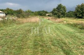 Istra, Režanci građevinsko zemljište 510m2 !, Svetvinčenat, Zemljište