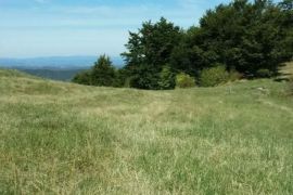 Plac ispod Cigote-Zlatibor, Čajetina, Terrain