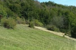 Plac ispod Cigote-Zlatibor, Čajetina, Arazi