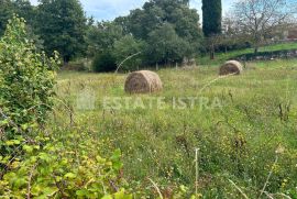 Građevinsko zemljište u Šegotićima, Istra, na prodaju, Marčana, Terreno