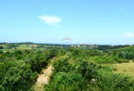 Savudrija,Crveni Vrh-Građevinsko zemljište pored golf terena, Umag, Terreno