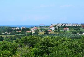 Savudrija,Crveni Vrh-Građevinsko zemljište pored golf terena, Umag, Tierra