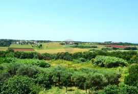 Savudrija,Crveni Vrh-Građevinsko zemljište pored golf terena, Umag, Terreno