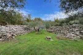 Otok Krk,Bajčići,maslinik,734 m2, Krk, Γη