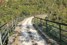 Impresivna šuma pored Oprtlja, Oprtalj, Land