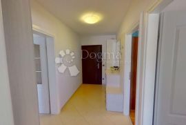 Stan u prizemlju s vrtom, Novigrad, Appartment