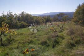Atraktivno poljoprivredno zemljište s pogledom, Labin, Tierra