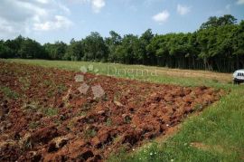 Poljoprivredno zemljište sa malom gradjevinskom parcelom!, Svetvinčenat, Terreno