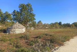 Atraktivno zemljište 700 m od mora, Vodnjan, Land