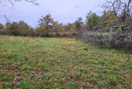 Građevinsko zemljište, okolica Grožnjana, Grožnjan, Land