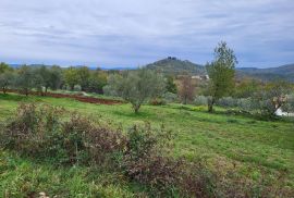 Prostrano zemljište na lijepoj lokaciji, okolica Buzeta, Buzet, Terrain