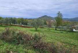 Prostrano zemljište na lijepoj lokaciji, okolica Buzeta, Buzet, أرض