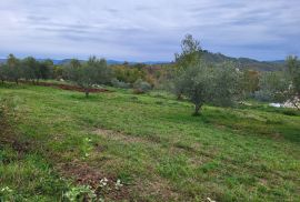 Prostrano zemljište na lijepoj lokaciji, okolica Buzeta, Buzet, Tierra