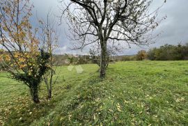 Pravilno građevinsko zemljište s pogledom na Motovun, Karojba, Земля