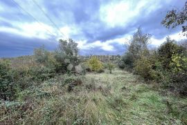 Građevinsko zemljište s pogledom na Motovun, Karojba, Terrain