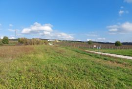 Poljoprivredno zemljište s pogledom na jezero, Buzet, Земля