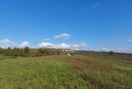 Poljoprivredno zemljište s pogledom na jezero, Buzet, Land