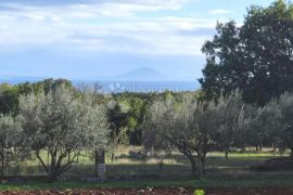 Poljoprivredno zemljište sa legaliziranim objektom i pogledom na more, Marčana, Γη