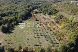 Labin okolica, Stara kamena kuća s 27.000 m2 poljoprivrednog zemljišta, vinograd i voćnjaci, Labin, Kuća