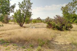 Građevinsko zemljište u blizini NP Paklenica, Starigrad, Terreno