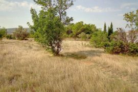 Građevinsko zemljište u blizini NP Paklenica, Starigrad, Terreno