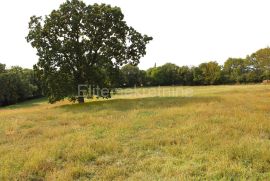 Građevinsko zemljište s pogledom na ribarsku luku Trget, Barban, Terrain