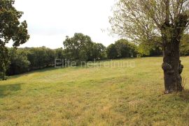 Građevinsko zemljište s pogledom na ribarsku luku Trget, Barban, Land