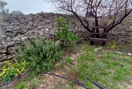 ŠIBENIK, ZATON - Prostrano imanje s objektom i građevinskom dozvolom, Šibenik - Okolica, Tierra