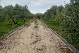 ŠIBENIK, ZATON - Prostrano imanje s objektom i građevinskom dozvolom, Šibenik - Okolica, Γη