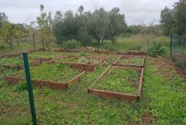 ŠIBENIK, ZATON - Prostrano imanje s objektom i građevinskom dozvolom, Šibenik - Okolica, Terrain