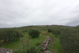 ŠIBENIK, ZATON - Prostrano imanje s objektom i građevinskom dozvolom, Šibenik - Okolica, Tierra