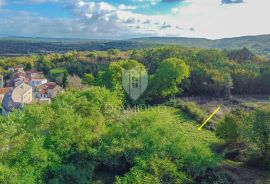 Grožnjan, okolica! Veliko zemljište na mirnoj lokaciji!, Grožnjan, Land