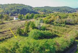 Grožnjan, okolica! Veliko zemljište na mirnoj lokaciji!, Grožnjan, Arazi