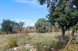 ISTRA,UMAG - Zemljište gospodarsko proizvodne namjene, Umag, Terreno