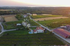 Luksuzna vila s bazenom u divnom okruženju, Brtonigla, House