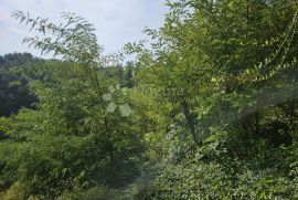 Zemljište s malom klijeti, Cestica, Land