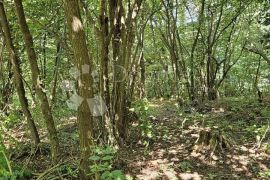 Zemljište respektabilne površine, Vinica, Land